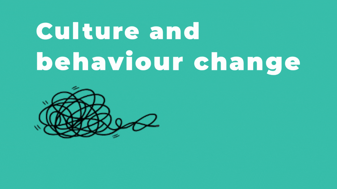 Culture and behaviour change that works in real life