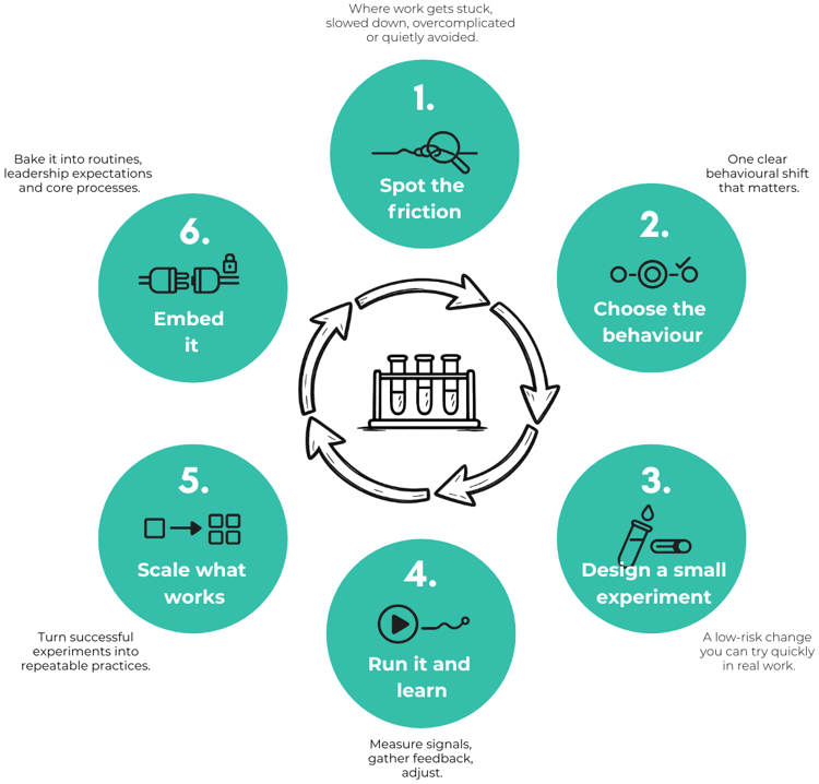 Culture experiment loop graphic (full)