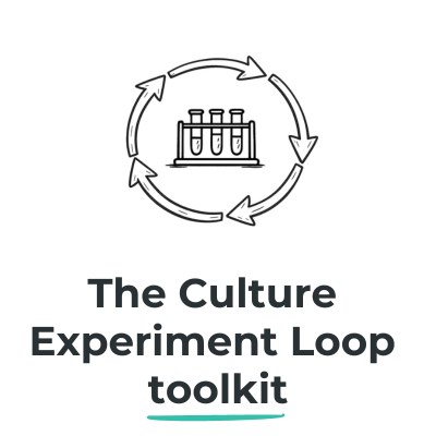 The Culture Experiment Loop toolkit
